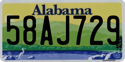 AL license plate 58AJ729