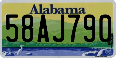 AL license plate 58AJ790