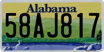 AL license plate 58AJ817