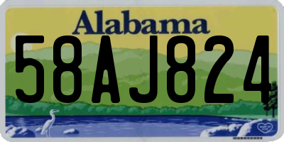 AL license plate 58AJ824
