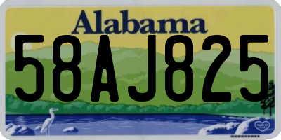 AL license plate 58AJ825