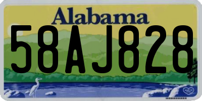 AL license plate 58AJ828