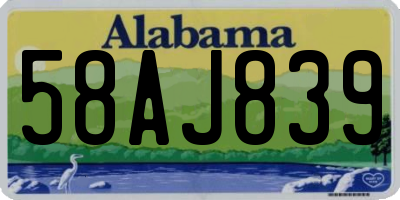 AL license plate 58AJ839