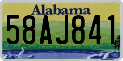 AL license plate 58AJ841