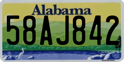 AL license plate 58AJ842