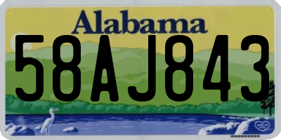 AL license plate 58AJ843