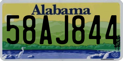 AL license plate 58AJ844