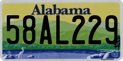 AL license plate 58AL229