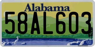 AL license plate 58AL603