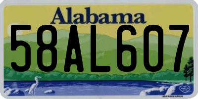 AL license plate 58AL607