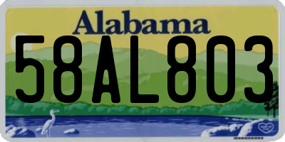 AL license plate 58AL803