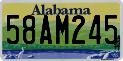 AL license plate 58AM245