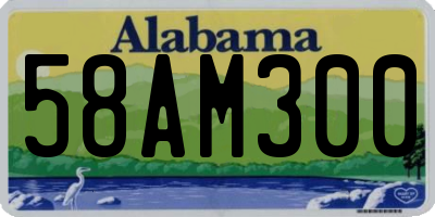 AL license plate 58AM300