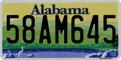 AL license plate 58AM645