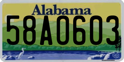 AL license plate 58AO603
