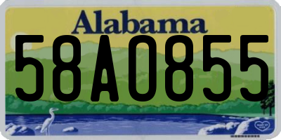 AL license plate 58AO855
