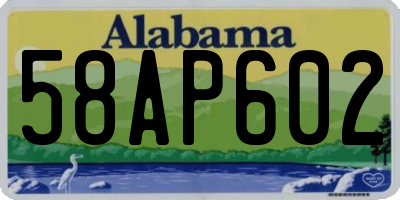 AL license plate 58AP602