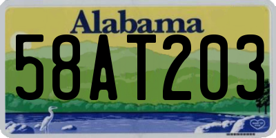 AL license plate 58AT203