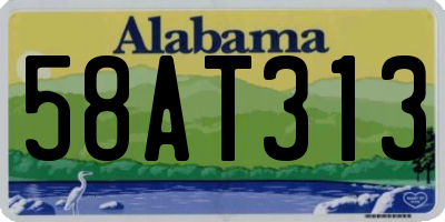 AL license plate 58AT313