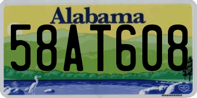 AL license plate 58AT608