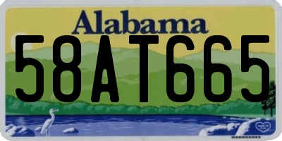 AL license plate 58AT665