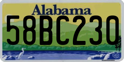 AL license plate 58BC230