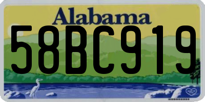 AL license plate 58BC919