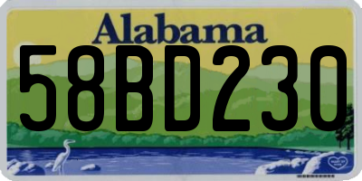 AL license plate 58BD230