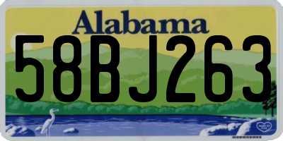 AL license plate 58BJ263
