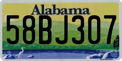 AL license plate 58BJ307