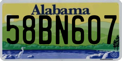 AL license plate 58BN607