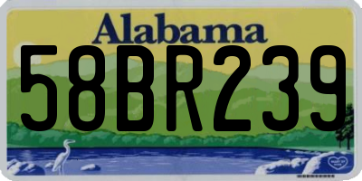 AL license plate 58BR239