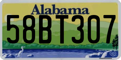 AL license plate 58BT307