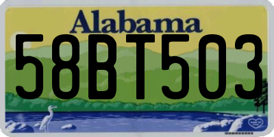 AL license plate 58BT503