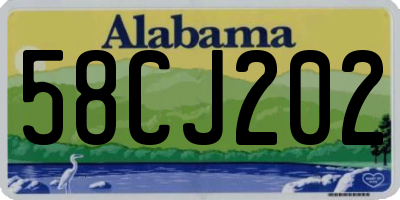 AL license plate 58CJ202