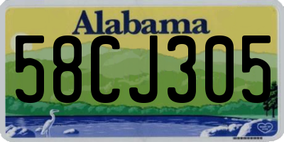AL license plate 58CJ305