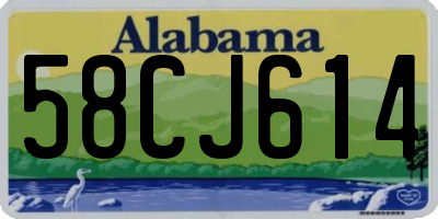 AL license plate 58CJ614