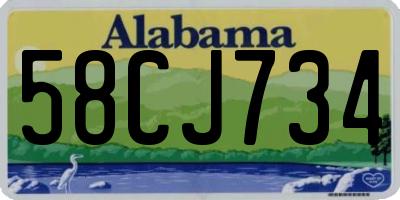 AL license plate 58CJ734