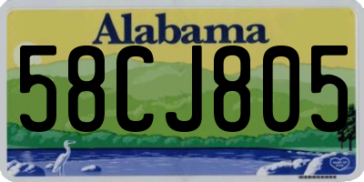 AL license plate 58CJ805