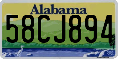 AL license plate 58CJ894