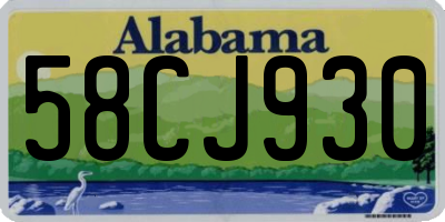 AL license plate 58CJ930