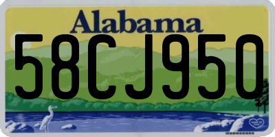 AL license plate 58CJ950