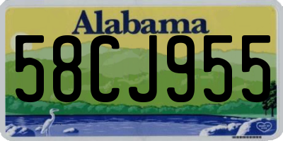 AL license plate 58CJ955