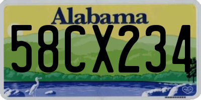 AL license plate 58CX234