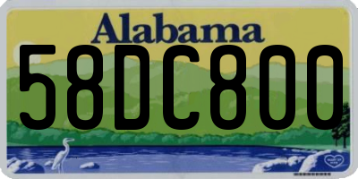 AL license plate 58DC800