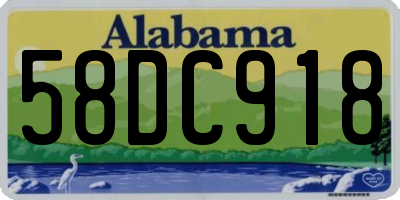 AL license plate 58DC918