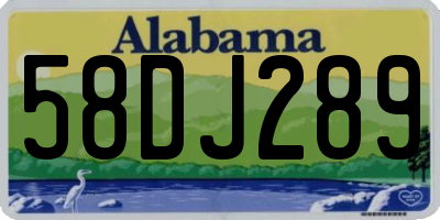 AL license plate 58DJ289