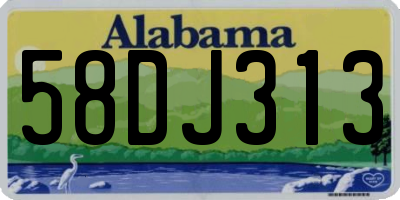 AL license plate 58DJ313