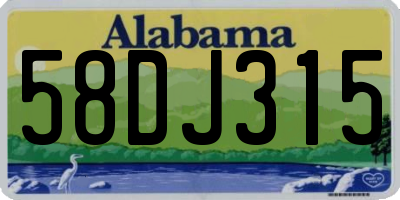 AL license plate 58DJ315