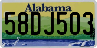 AL license plate 58DJ503
